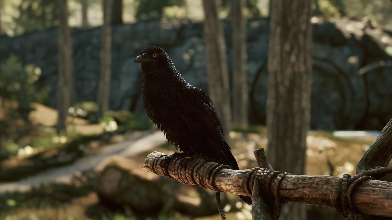 Among the Trolls — a red-eyed raven on a rope-bound perch